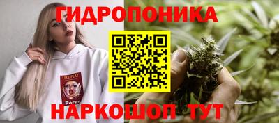 крисы Бугуруслан