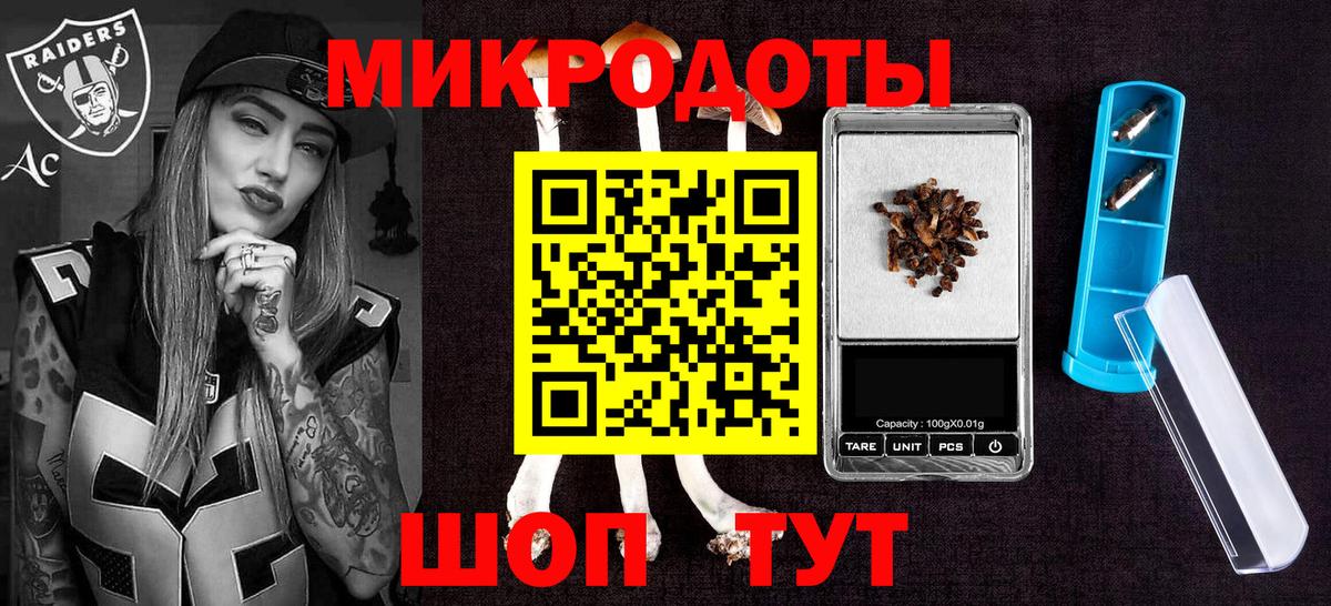 Галлюциногенные грибы Psilocybe Набережные Челны