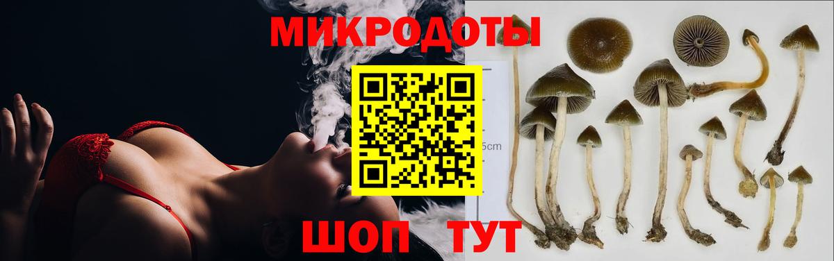 Псилоцибиновые грибы прущие грибы  Вход с VPN  купить наркотики цена  Набережные Челны 